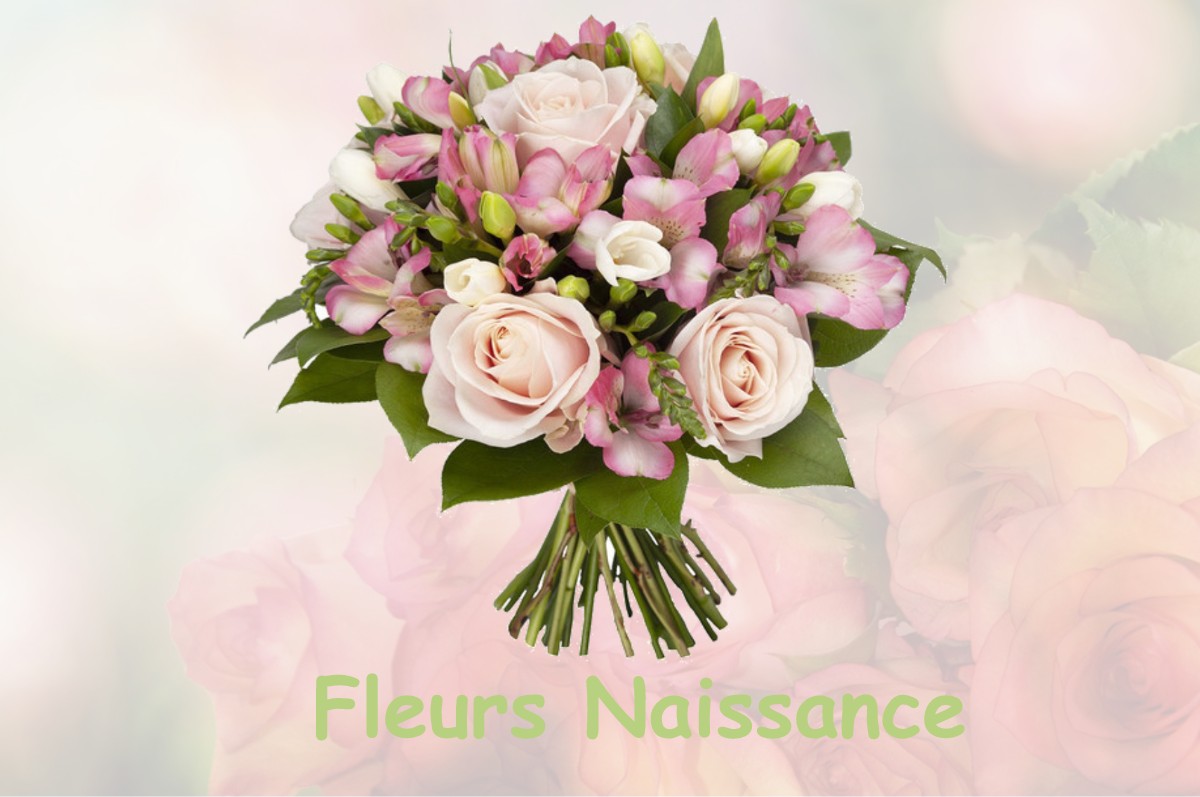 fleurs naissance FAVERELLES